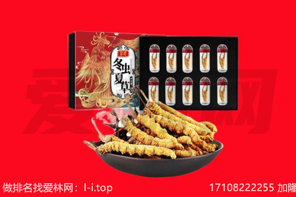 牟定县回收虫草.jpg